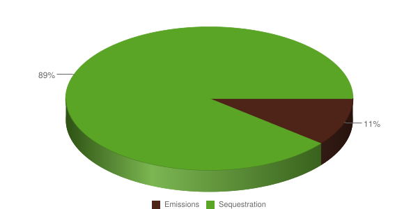 Pie chart illustrating Marlfield Farm carbon balance.