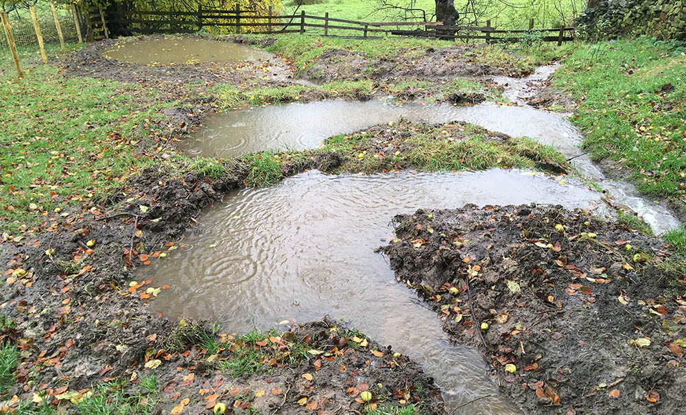 Natural Flood Management at Marlfield Farm, Earby