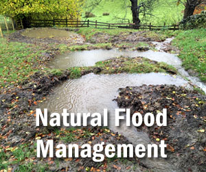 Natural Flood Management